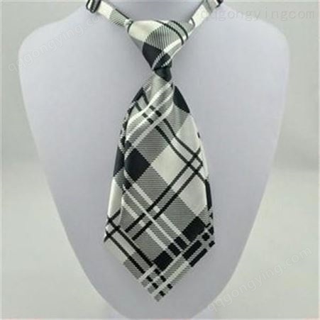 领带 厂家批发领带定制logo 长期出售 和林服饰
