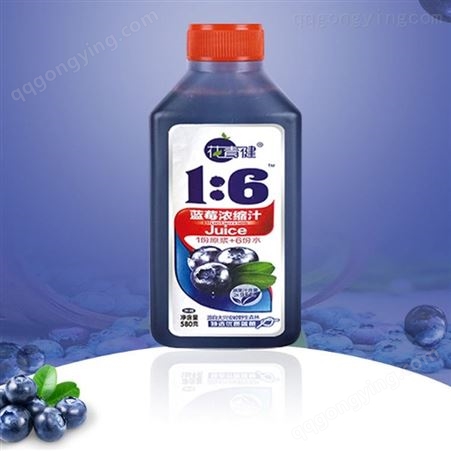 花青健牌 休闲蓝莓果汁饮料 黑土地之乡 蓝莓580g瓶装饮品