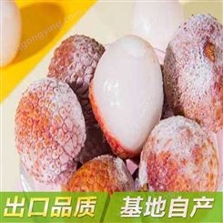 速冻荔枝 应季果蔬新鲜保鲜 厂家直发 水果罐头果酱原料