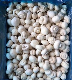 速冻冷冻单冻IQF平菇 蘑菇食用菌净菜供应调理食品半成品原料