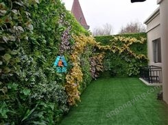 西安绿植墙报价 西安绿植墙定制 立体绿化植物墙设计-金森造景