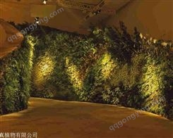 装修仿真植物墙 假植物墙装饰 金森 商场用 工厂销售