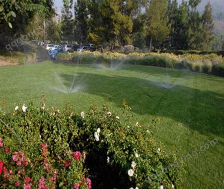 利迪环保节水喷灌系统 农业智能灌溉 园林绿化草坪全自动节水系统