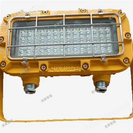 大功率LED光源 DJC48/127L(A)矿用支架灯 可定制