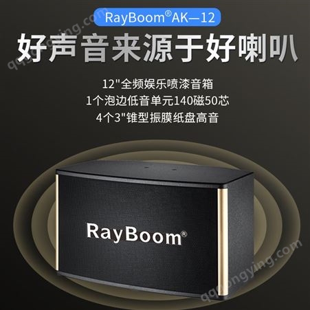 RayBoom AK-10卡包音响 KTV音响系统 音质高保真度高 适用娱乐场所