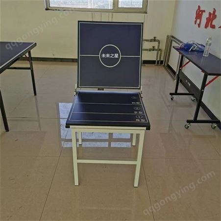 室外乒乓球桌 室内家用乒乓球台 户外儿童乒乓球台 泰昌体育器材