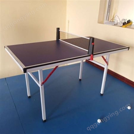 室外乒乓球桌 室内家用乒乓球台 户外儿童乒乓球台 泰昌体育器材