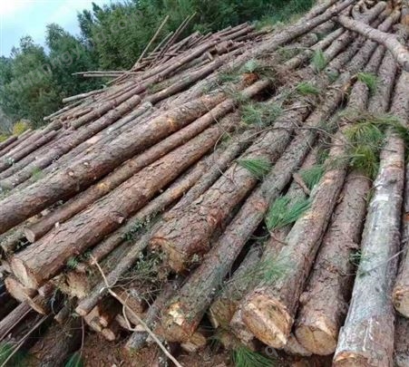 松桩 松木桩 支护桩木 工程防护用木桩 实用性价比高