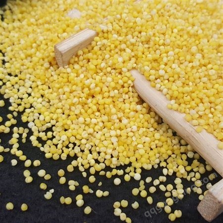 小米批发 和粮农业东北特色有机黄小米 黑龙江小黄米 月子米