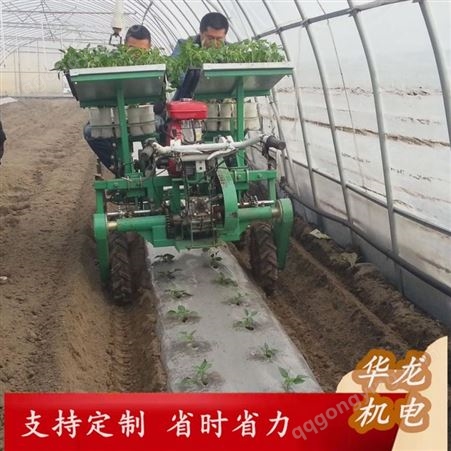 辣椒蔬菜移栽 厂家直供 一机多用 节省人工