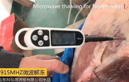 科弘大型微波猪肉解冻设备 穿透式肉类解冻机 连续式冻肉化冻机