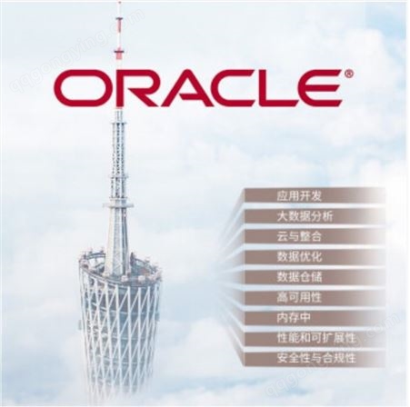 oracle数据库企业版甲骨文数据库企业版ORACLE RAC集群11G//21C
