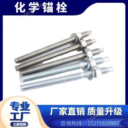 不锈钢化学锚栓 高强度锚栓螺丝 建筑工程 厂 家供应 现货出售