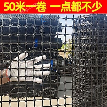 塑料养殖围栏网 圈地圈玉米防护网大孔小孔网格护栏网