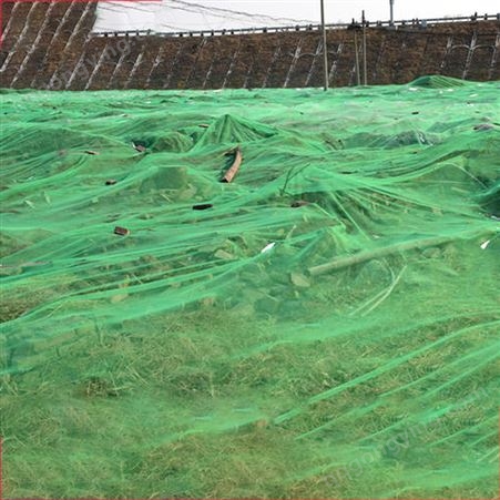 华瑞盖土网厂家 优质环保防尘网 6针盖煤盖沙网 护坡覆绿化网
