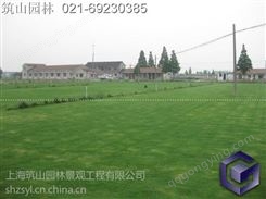 上海静安绿化施工队 屋顶绿化 绿化租赁
