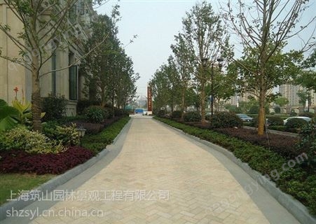 上海金山花镜设计竹苗花卉租赁