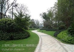 上海静安室内花卉租赁苗木供应绿化养护案例