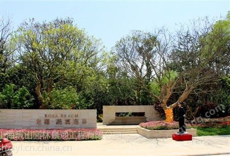 上海长宁花镜植物 假山水景案例 花卉租赁