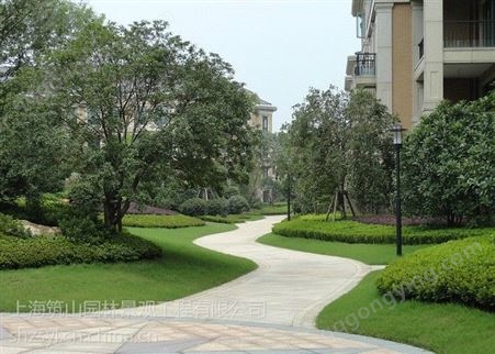 上海崇明草坪大树修剪园林公司