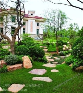 上海虹口绿化施工队 大树修剪 绿化养护案例