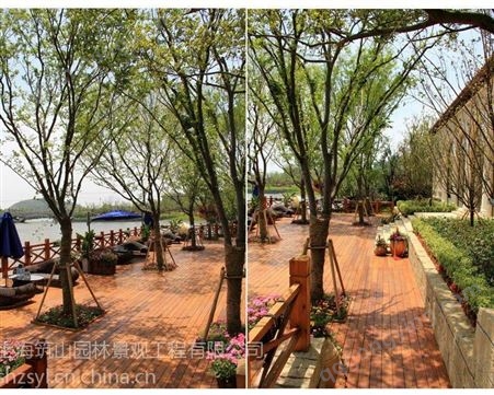 上海宝山景观工程园林景观花园养护