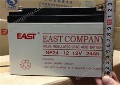 EAST易事特蓄电池12V24AH NP24-12 UPS免维护蓄电池