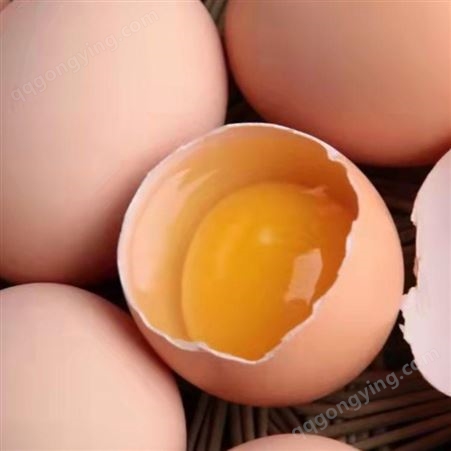 目前蛋鸡饲养中存在的问题泰西农牧厂家发酵辣椒粕来帮忙