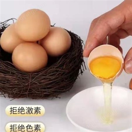 蛋鸡辣椒油粉夏季不掉蛋 辣椒油粉冬季保护杆脏 蛋鸡油粉