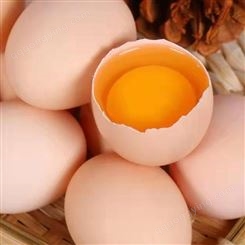 蛋鸡养殖用泰西农牧蛋鸡辣椒油粉提高营养价值