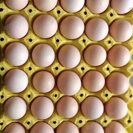 蛋鸡辣椒油粉厂家优脂价格 山东油粉工厂定制生产 辣椒油粉
