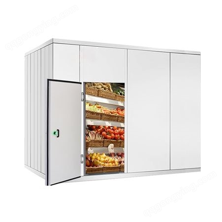 冰达仕 大小冷库全套设备定制 22立方水果蔬菜保鲜库专业安装造建