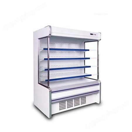 四门冰箱商用冰柜 冷冻冷藏双温保 速冻大容量 厨艺佳 经久耐用