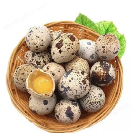 优供粮食土鸡蛋 鹌鹑蛋 咸鸭蛋等 口感清香 货源充足