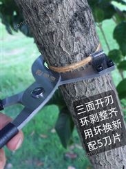 藤原环割刀环剥剪器钳骟苹果枣树果树剥皮刀园林工具割树皮开甲刀