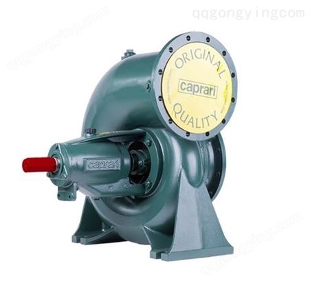 Caprari泵头PMST65CS/12A SN：539633/1