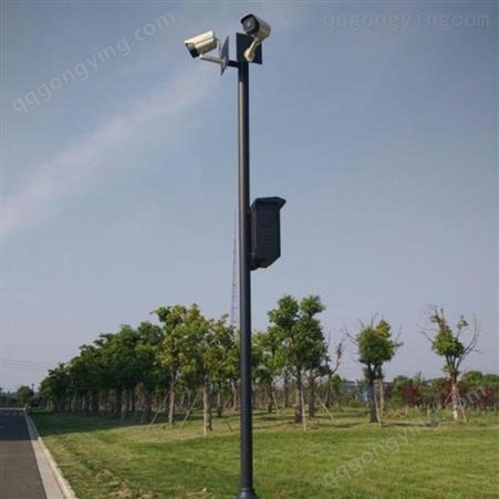 铜仁外贸监控立杆 摄像机监控立杆生产厂家 道路监控立杆报价