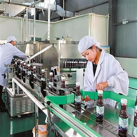 玻璃瓶果汁饮料生产线 蓝莓汁饮料生产设备 骏科机械