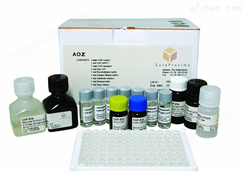 人八聚体转录因子（OTF2A）ELISA试剂盒