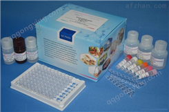 人血管生成素4（ANG-4）ELISA试剂盒